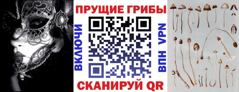 где можно купить наркотик  Таганрог  Псилоцибиновые грибы Cubensis 